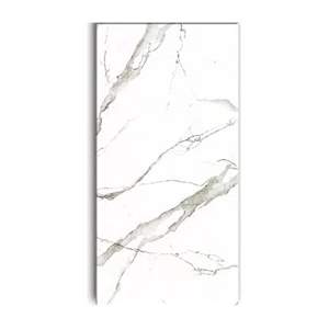 Gạch ốp lát Eurotile 60x120 SIG. P61206