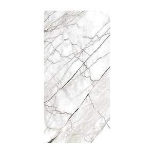 Gạch ốp lát Eurotile 60x120 SIG.TSA Q01