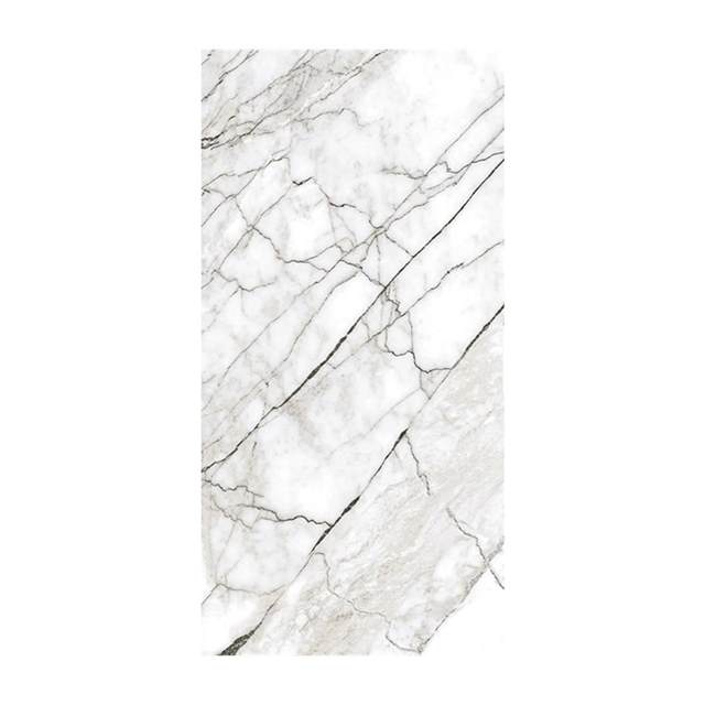 Gạch ốp lát Eurotile 60x120 SIG.TSA Q01
