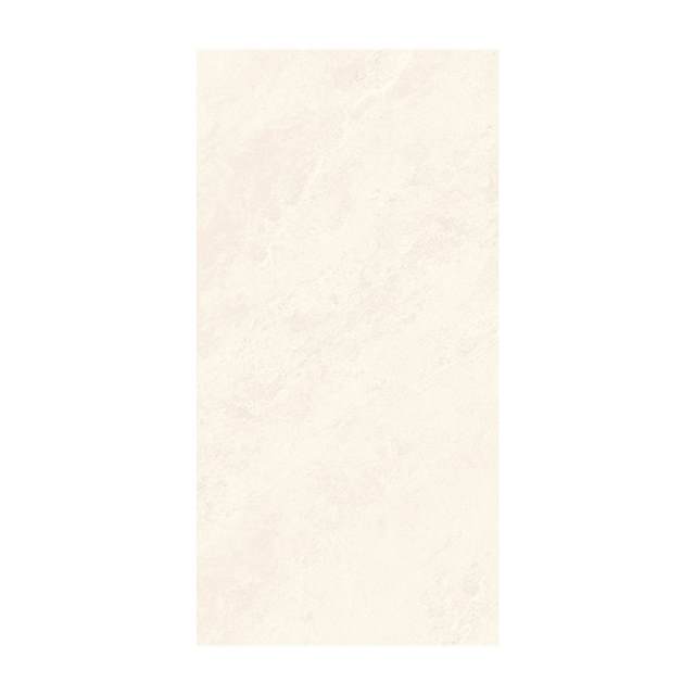 Gạch ốp lát Viglacera 60x120 SOK Q06