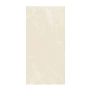 Gạch ốp lát Viglacera 60x120 TRA Q02