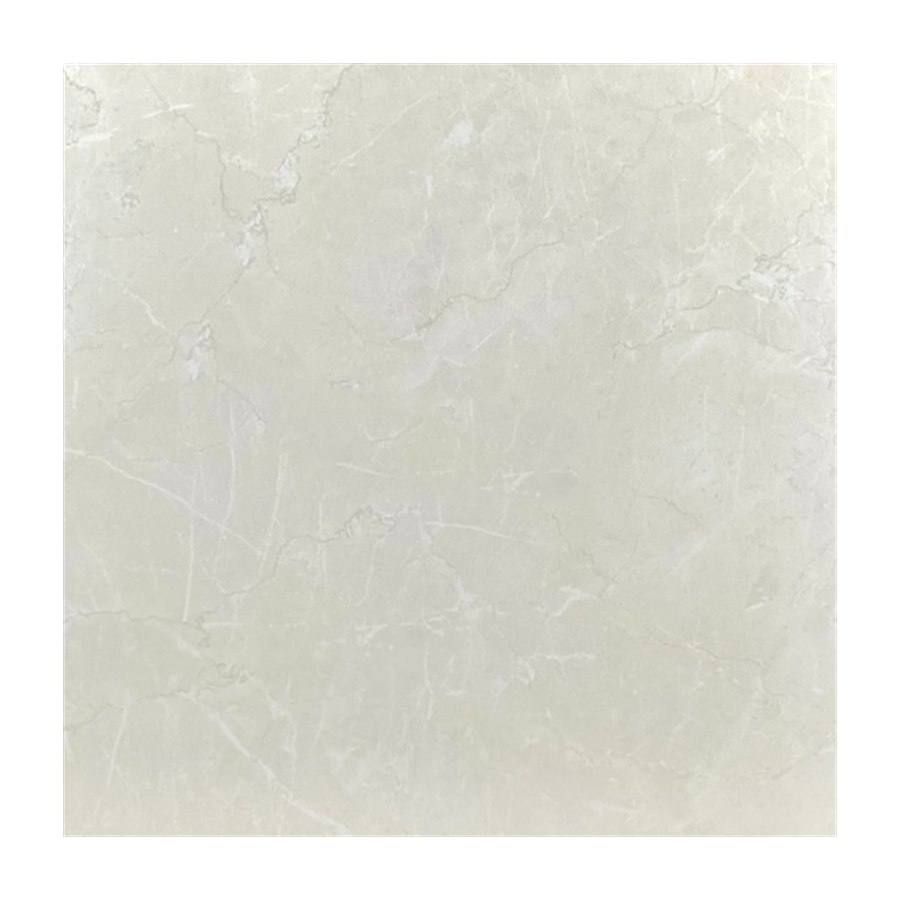 Gạch ốp lát Viglacera 60×60 M6005