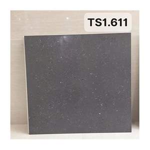 Gạch ốp lát Viglacera 60×60 TS1-611