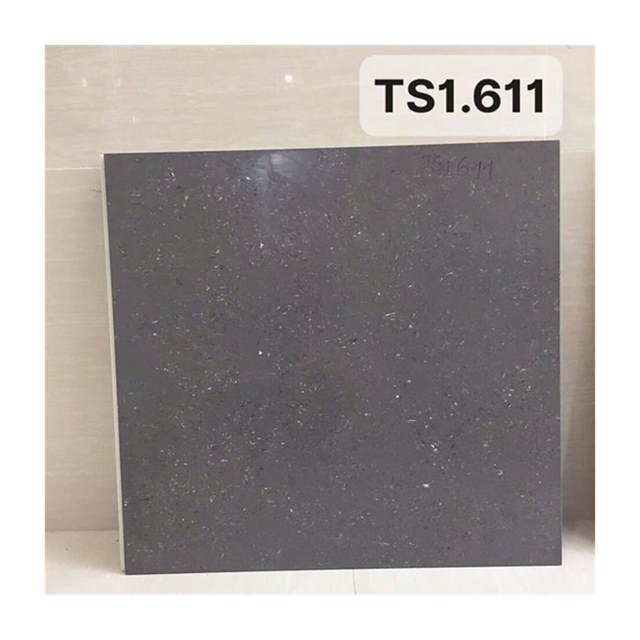 Gạch ốp lát Viglacera 60×60 TS1-611