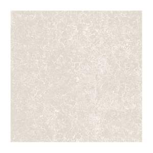 Gạch ốp lát Viglacera 60x60 TS2-617