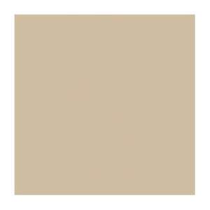 Gạch ốp lát Viglacera 60x60 TS5-602