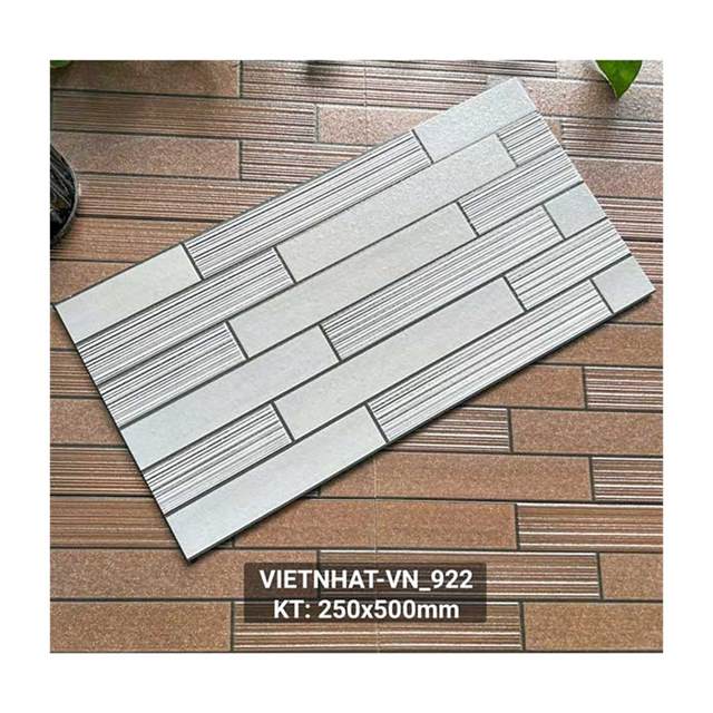 Gạch ốp trang trí Việt Nhật 25x50 VN_922