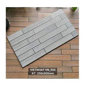 Gạch ốp trang trí Việt Nhật 25x50 VN_955