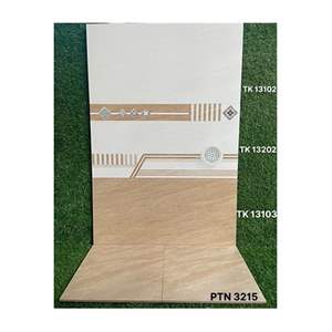 Gạch ốp tường Takao 30x60 TK 13102/03