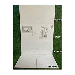 Gạch ốp tường Takao 30x60 TK 13106