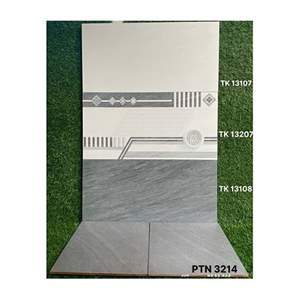 Gạch ốp tường Takao 30x60 TK 13107/08