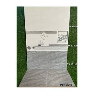 Gạch ốp tường Takao 30x60 TK 13109/10