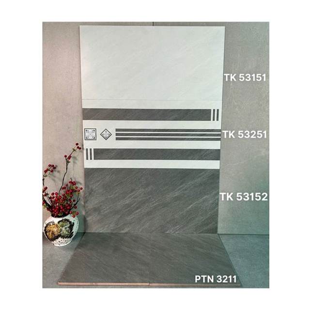Gạch ốp tường Takao 30x60 TK 53151
