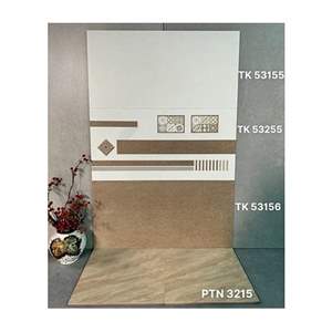 Gạch ốp tường Takao 30x60 TK 53155