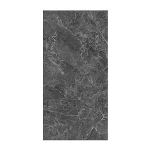 Gạch ốp tường Grand Ceramics 60x120 AMM-61204