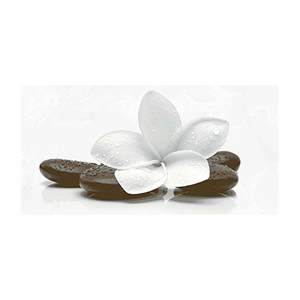 Gạch ốp tường Prime 30x60 09416
