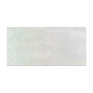 Gạch ốp tường Taicera 30×60 P2960KUBL
