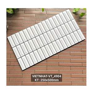 Gạch ốp tường trang trí Việt Nhật 25x50 VT4904