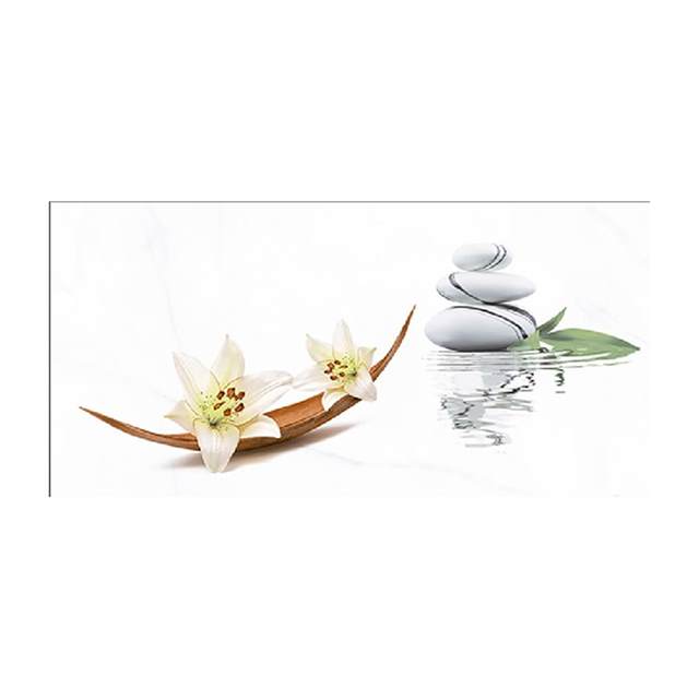 Gạch ốp tường TTC 30×60 DB36073