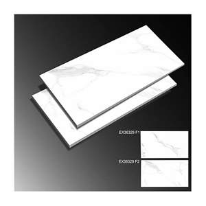 Gạch ốp tường TTC 30×60 EX36329