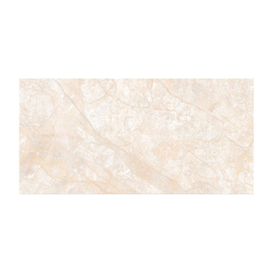Gạch ốp tường TTC 30×60 WB36005