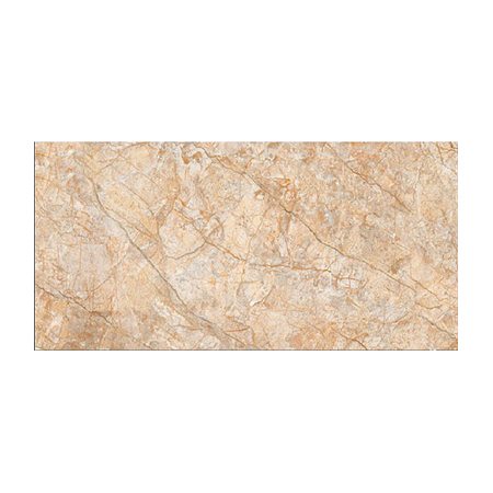 Gạch ốp tường TTC 30×60 WB36006