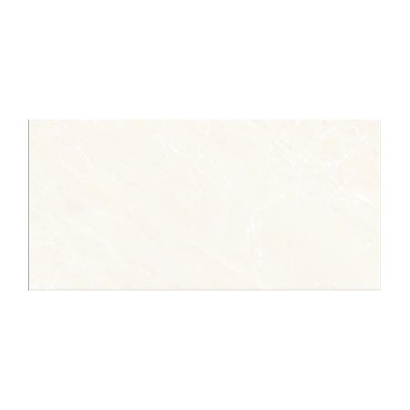 Gạch ốp tường TTC 30×60 WB36051