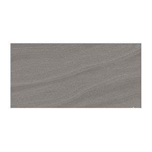 Gạch ốp tường TTC 30×60 WM36008