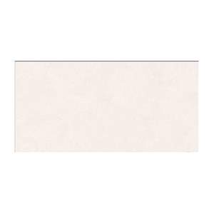 Gạch ốp tường TTC 30×60 WM36009