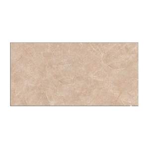 Gạch ốp tường TTC 30×60 WM36010