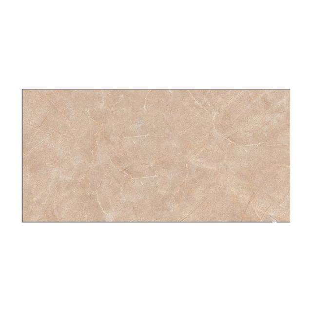 Gạch ốp tường TTC 30×60 WM36010