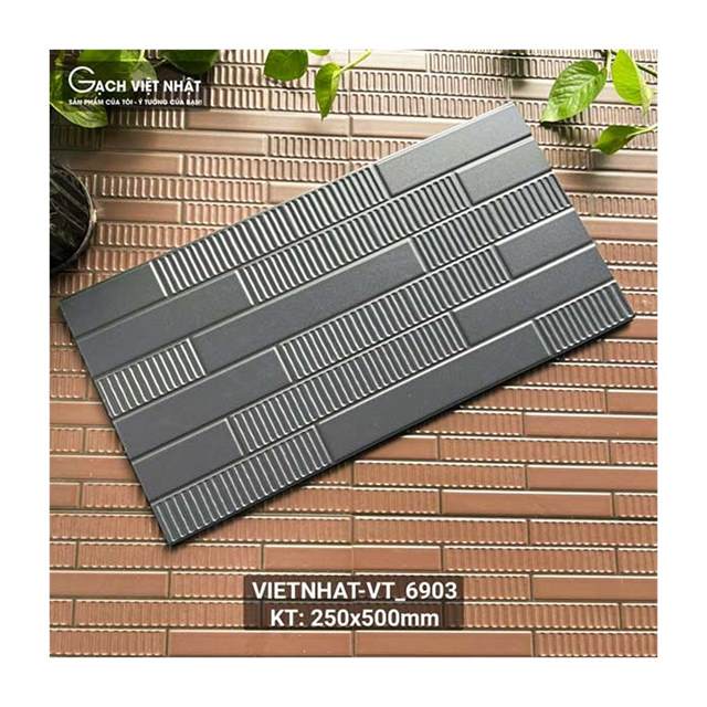 Gạch ốp tường Việt Nhật VT_6903 25x50