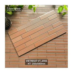Gạch ốp tường Việt Nhật VT_6906 25x50