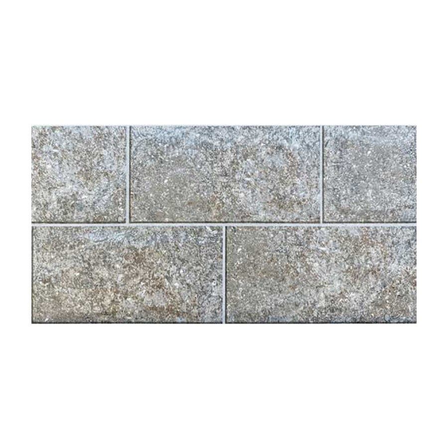 Gạch ốp tường Viglacera 25×50 HA-25511