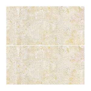 Gạch ốp tường Viglacera 30x60 BS3601