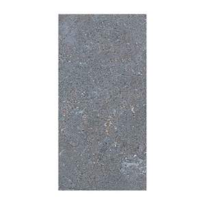 Gạch ốp tường Viglacera 30×60 NGC G03