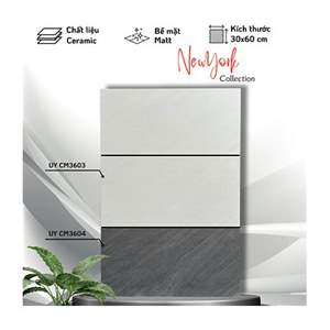 Gạch ốp tường Viglacera 30×60 UYCM3603 - UYCM3604