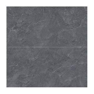 Gạch ốp tường VIOVA 30x60 CTP36202