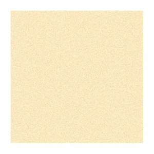 Gạch Prime 30x30 2351NV chống trơn