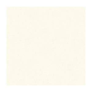 Gạch Prime 60x60cm 09624 ốp lát