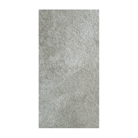 Gạch Taicera 60x120 G12528JDD men matt