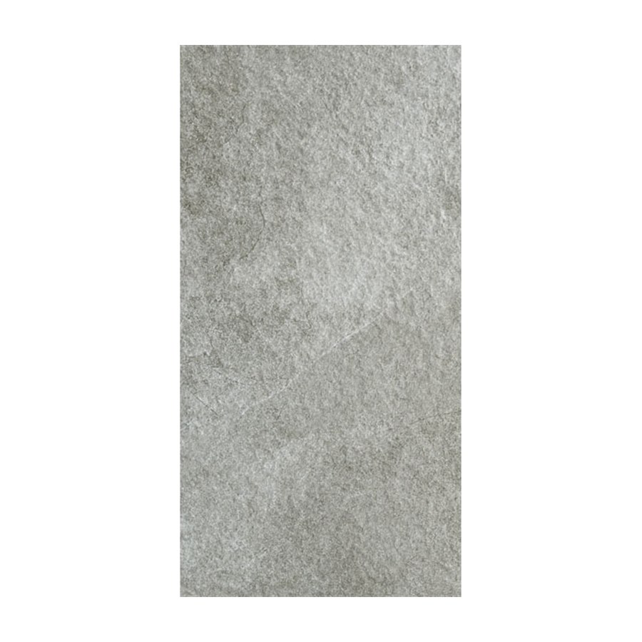 Gạch Taicera 60x120 G12528JDD men matt