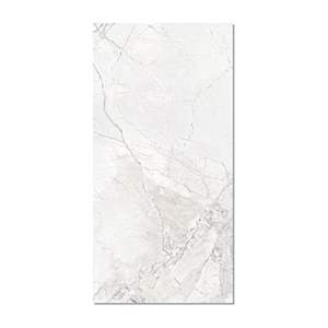 Gạch Taicera 60x120 G12L10JW-CA men matt