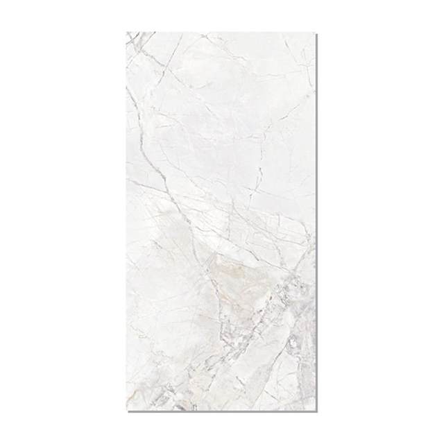 Gạch Taicera 60x120 G12L10JW-CA men matt