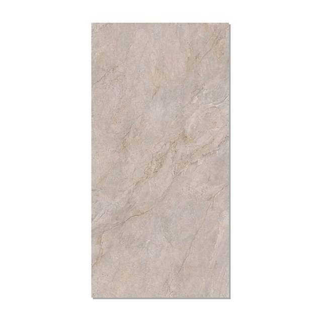 Gạch Taicera 60x120 G12L16JW-CA men matt