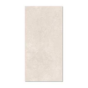 Gạch Taicera 60x120 G12L33JW-CA men matt