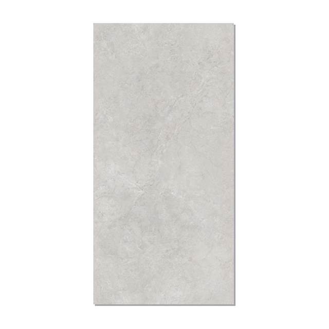 Gạch Taicera 60x120 G12L34JW-CA men matt