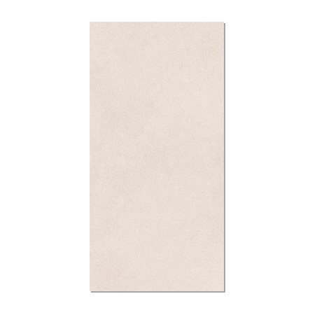 Gạch Taicera 60x120 G12L40JW-SD men matt