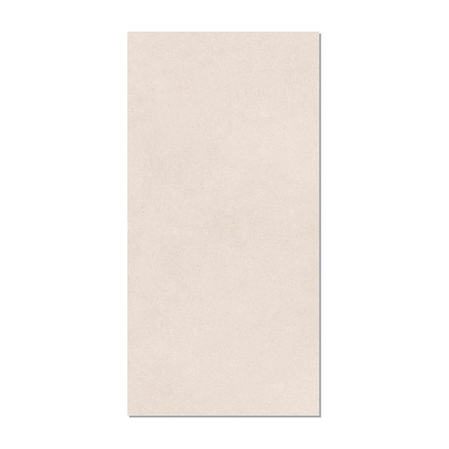 Gạch Taicera 60x120 G12L40JW-SD men matt