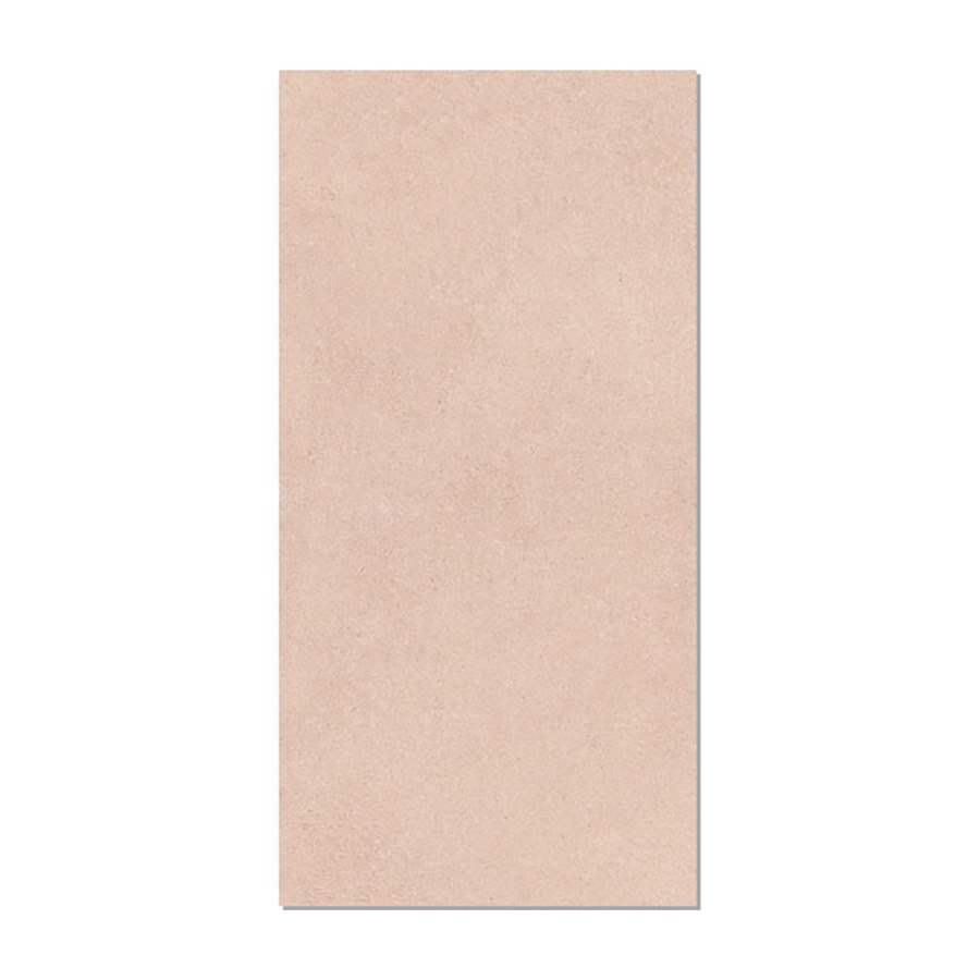 Gạch Taicera 60x120 G12L41JW-SD men matt